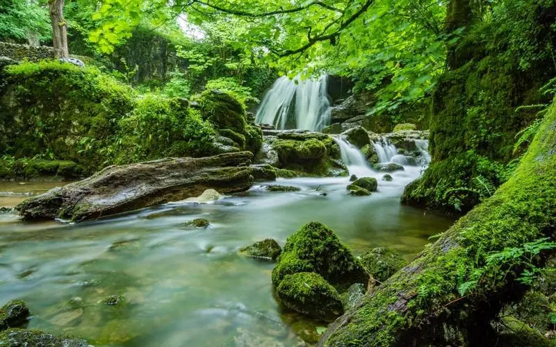 高效稳定性智慧